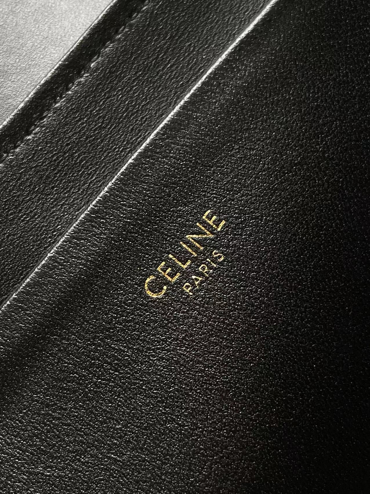 Celine Victoire in Striped Sequins Mini Bag