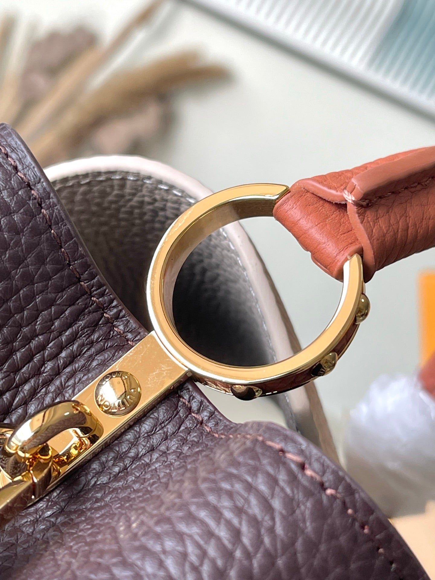 Louis Vuitton Capucines Mini Bag – Taurillon Leather (Tricolor Edition)