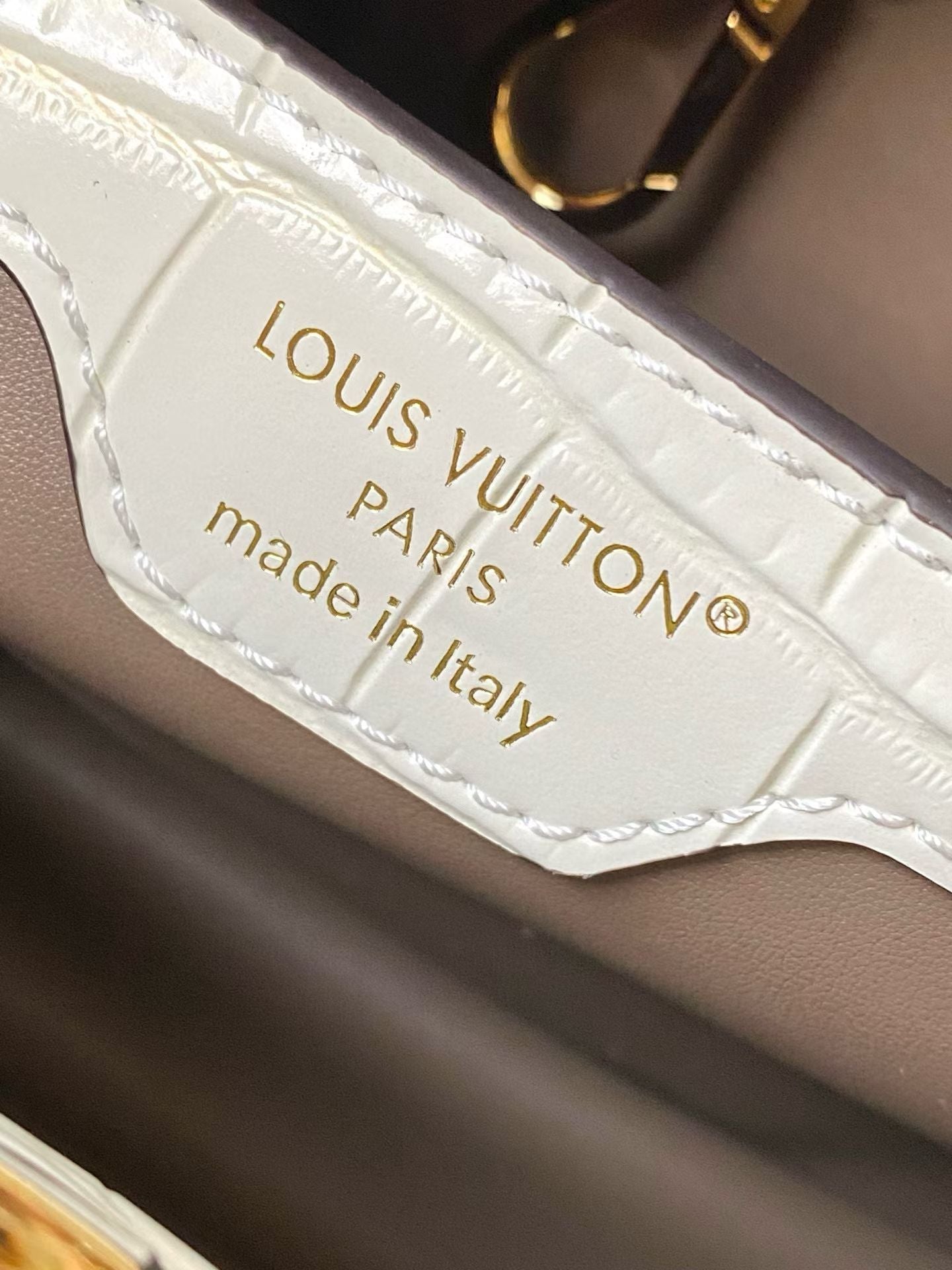 LOUIS VUITTON Capucines BB – Exotic Leather (Croc-Embossed Finish)