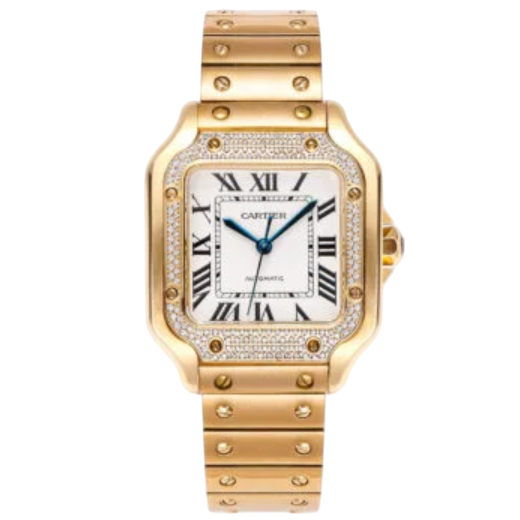 Cartier Santos de Cartier Automatic Ladies Watch