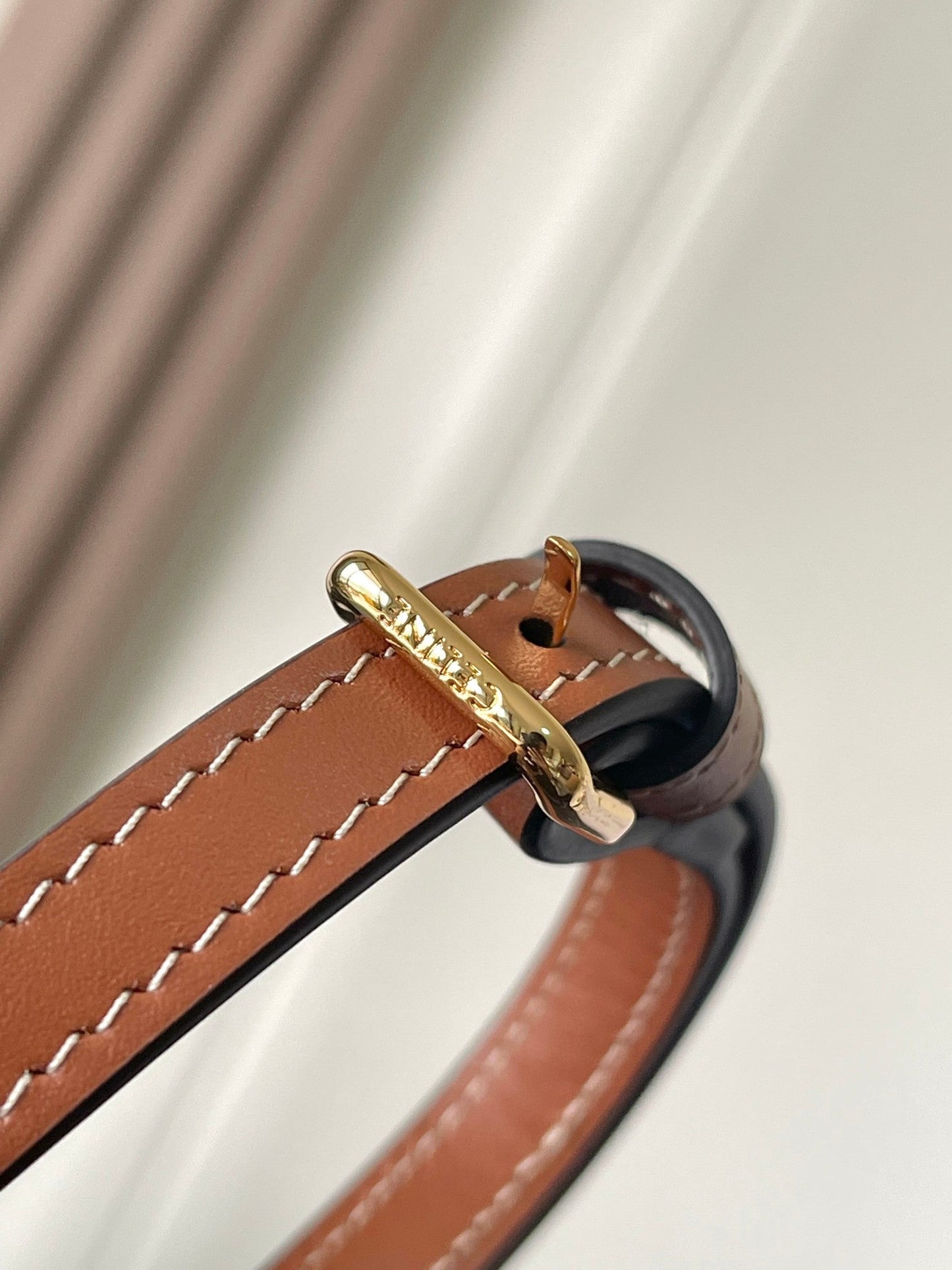 Celine Mini Bucket Bag in Triomphe Canvas