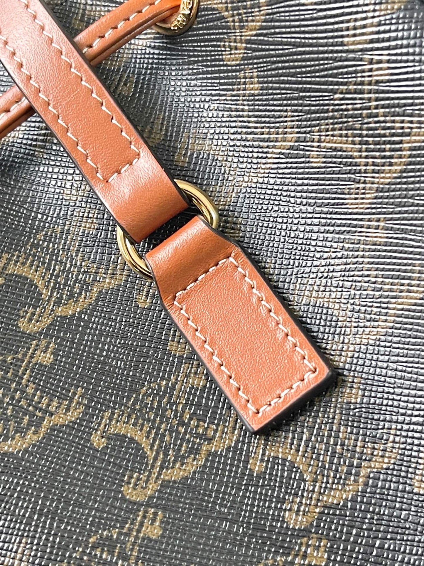 Celine Mini Bucket Bag in Triomphe Canvas