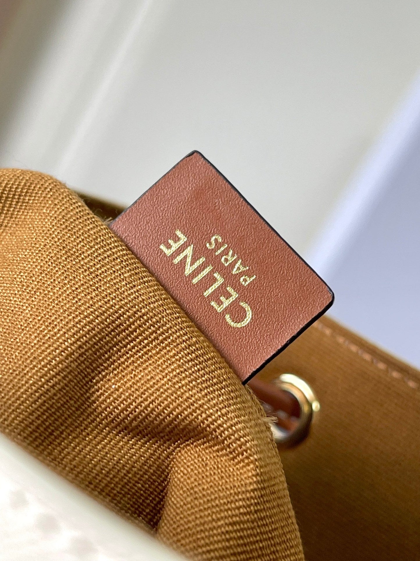 Celine Mini Bucket Bag in Triomphe Canvas