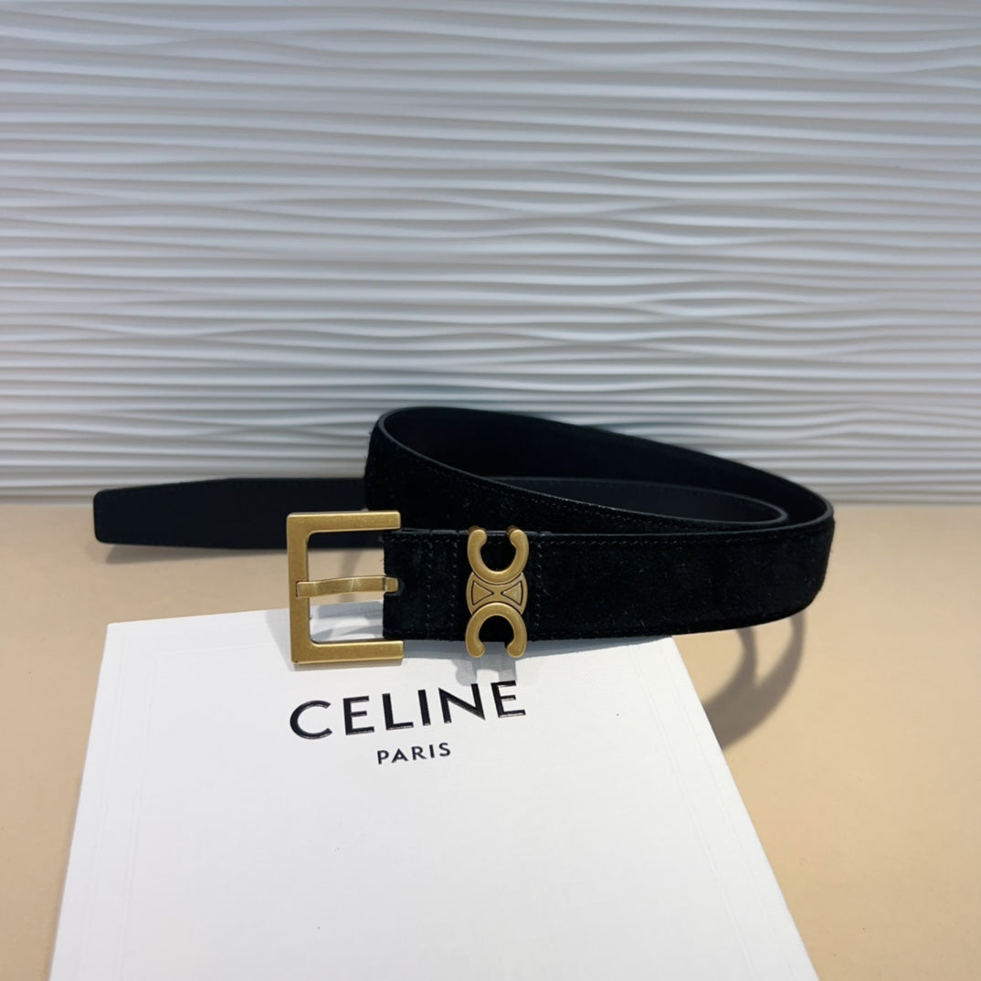 Celine Triomphe Suede Belt with an antique Brass Buckle