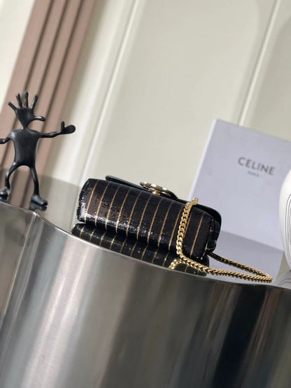 Celine Victoire in Striped Sequins Mini Bag