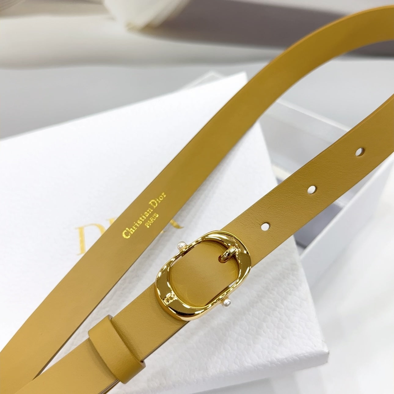 Christian Dior 30 Montaigne Reversible Belt
