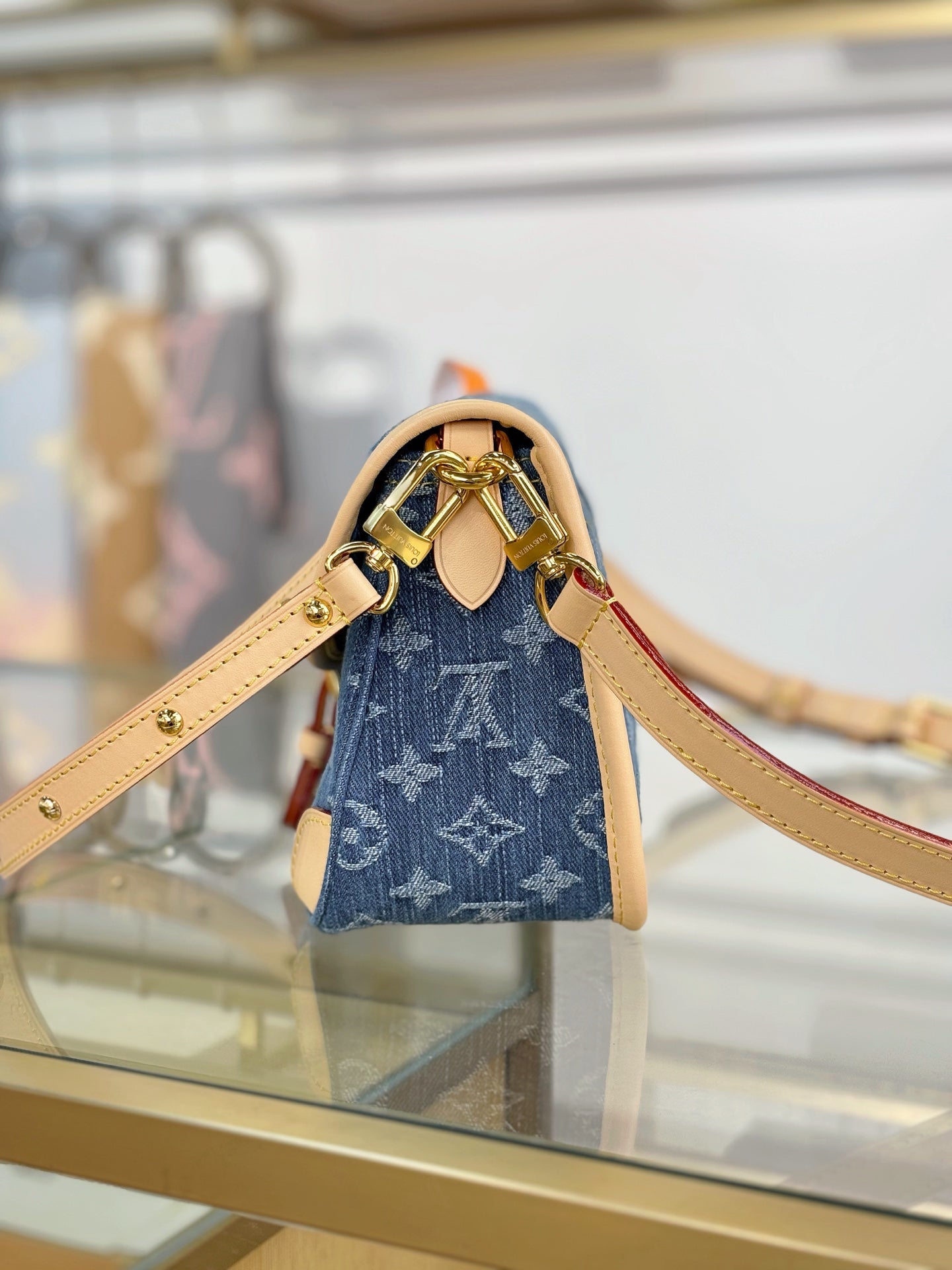 Louis Vuitton Diane Monogram Denim Bag
