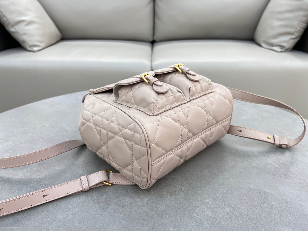 Dior Caro Backpack
