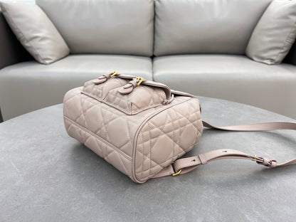 Dior Caro Backpack