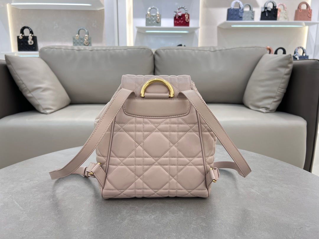 Dior Caro Backpack