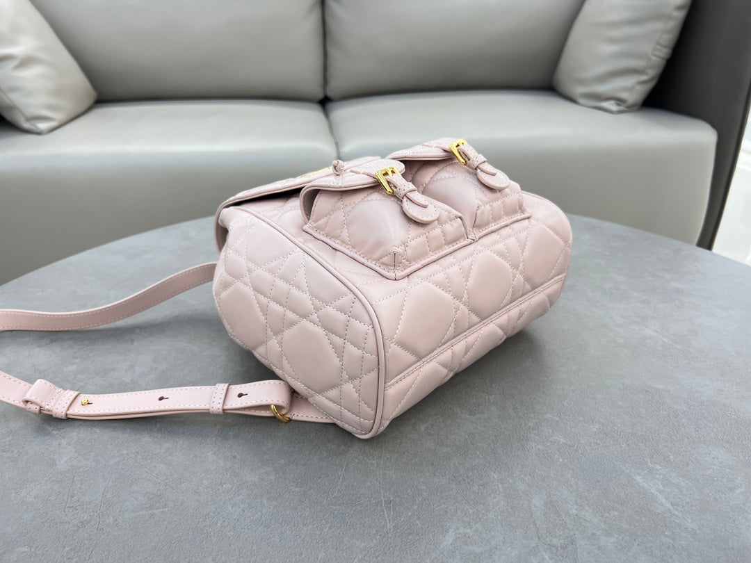 Dior Caro Backpack Pink