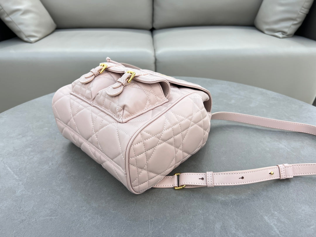 Dior Caro Backpack Pink