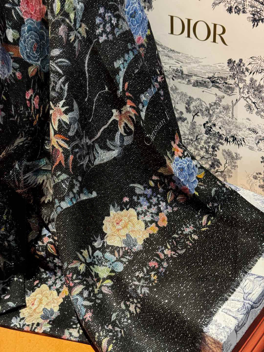 Dior Jardin d’Hiver Embroidered Silk & Wool Scarf