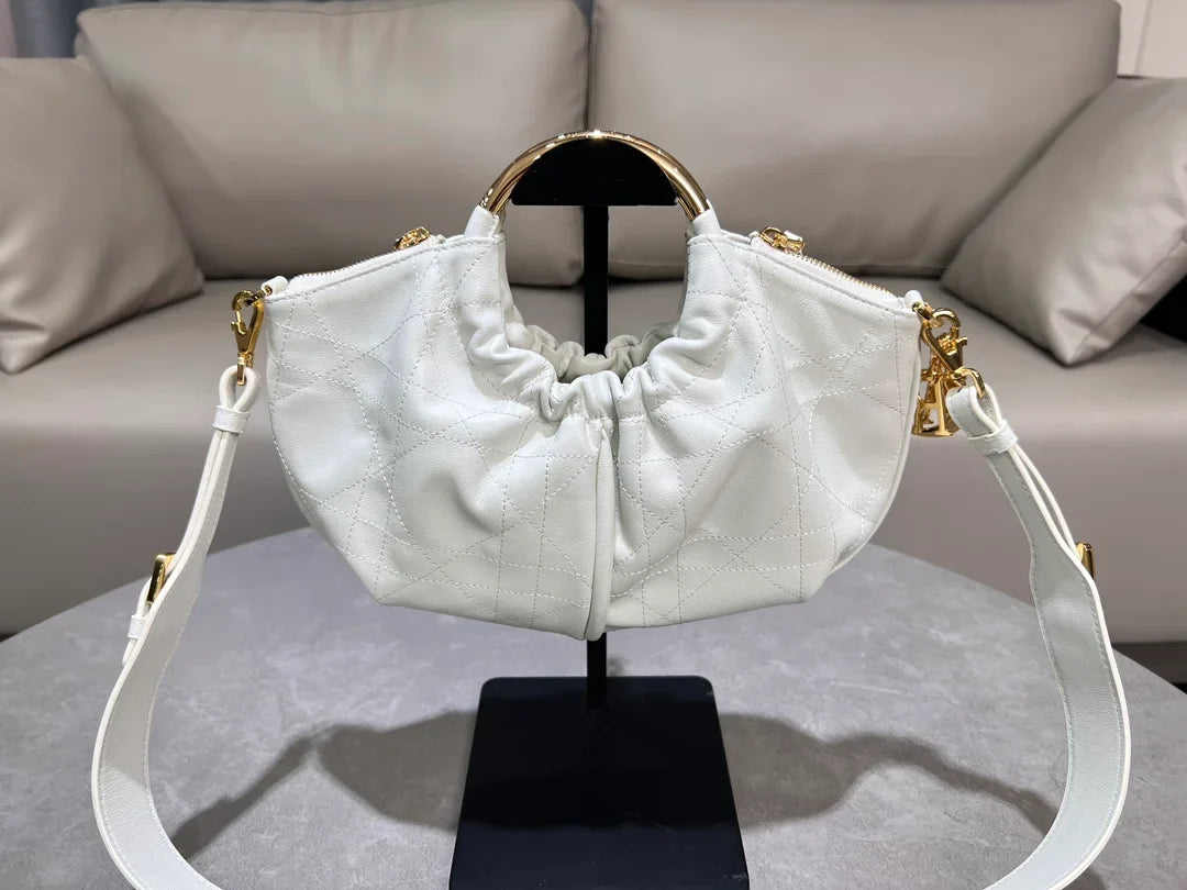 Dior Walk in Dior Bag