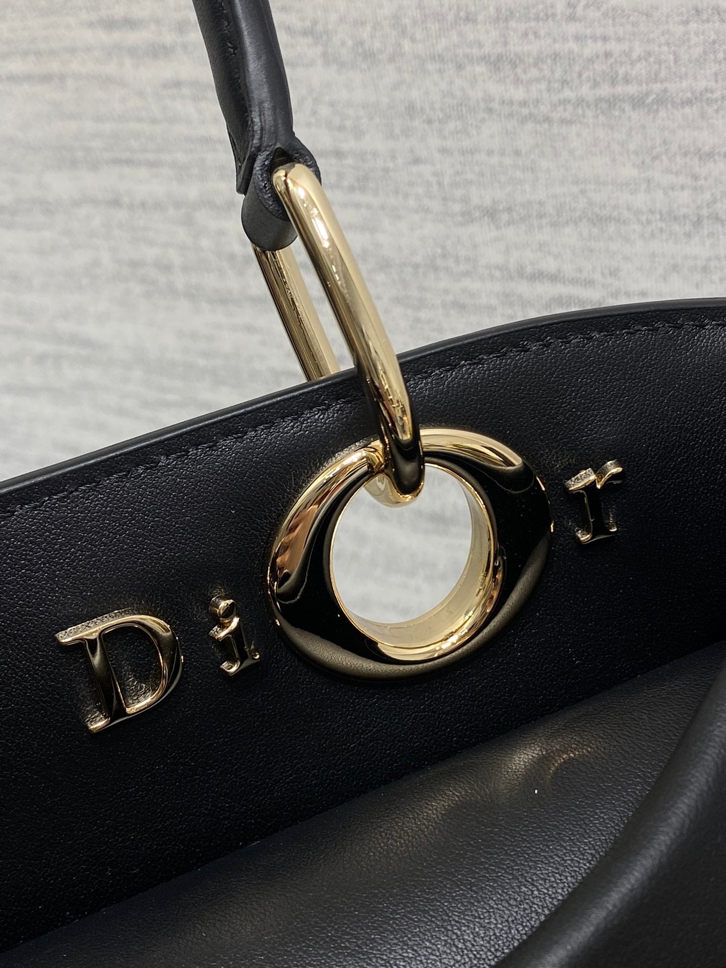 Dior Lady D-Sire Bag