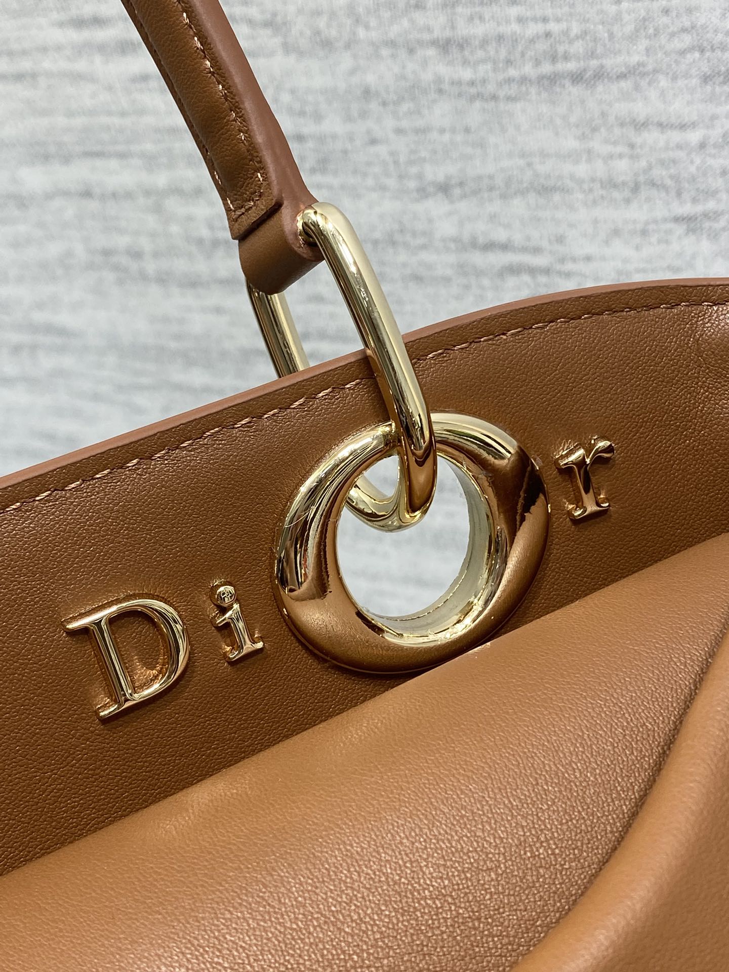 Dior Lady D-Sire Bag