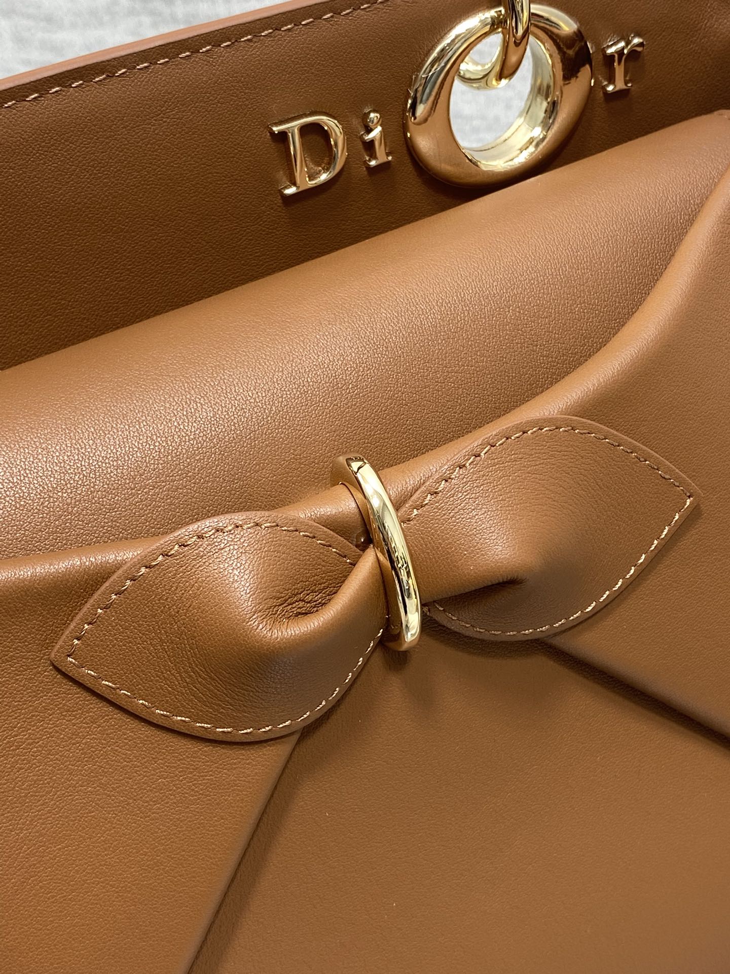 Dior Lady D-Sire Bag