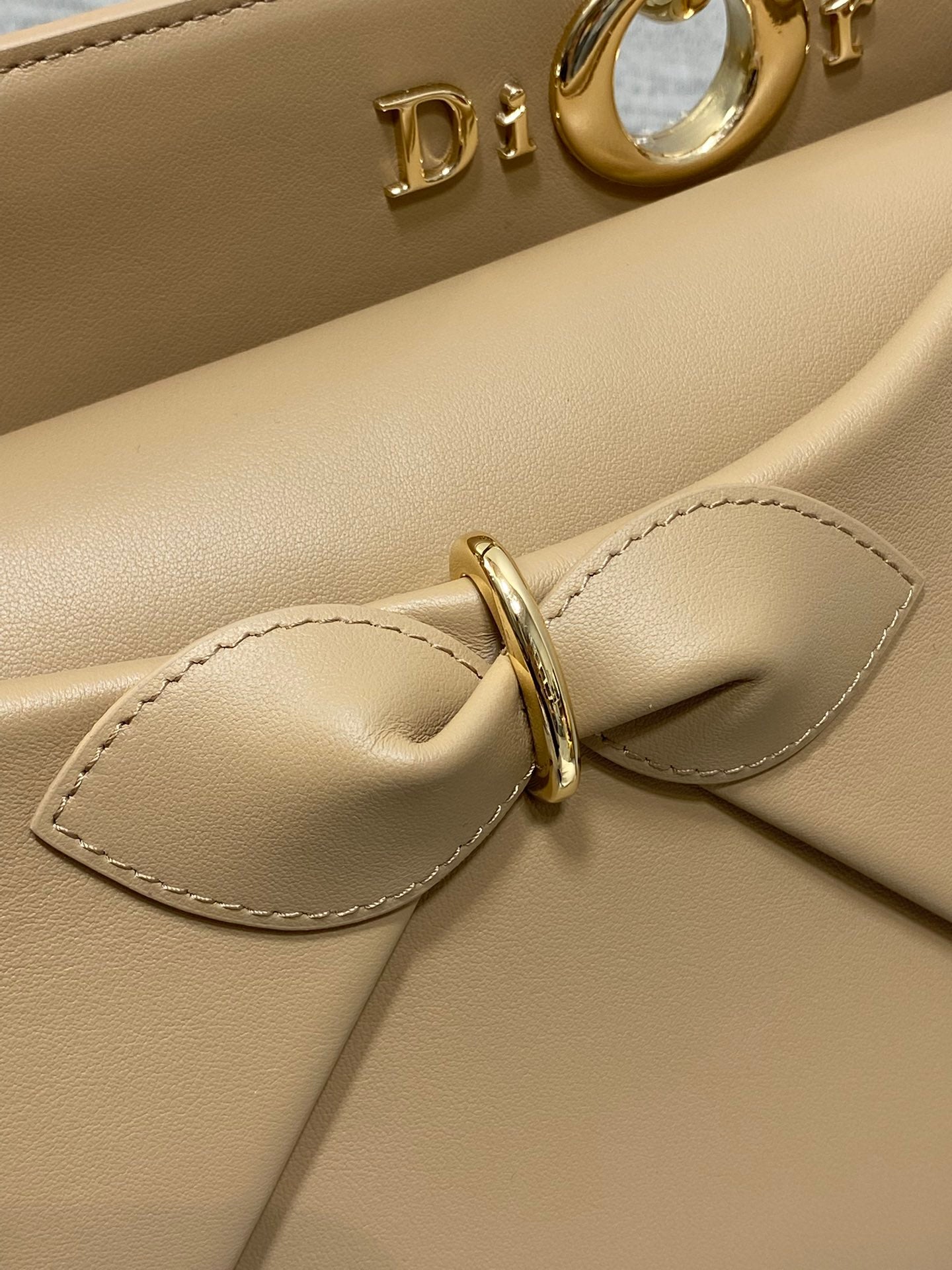 Dior Lady D-Sire Bag