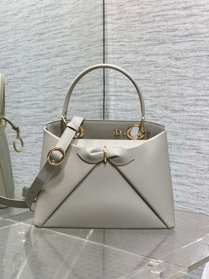 Dior Lady D-Sire Bag