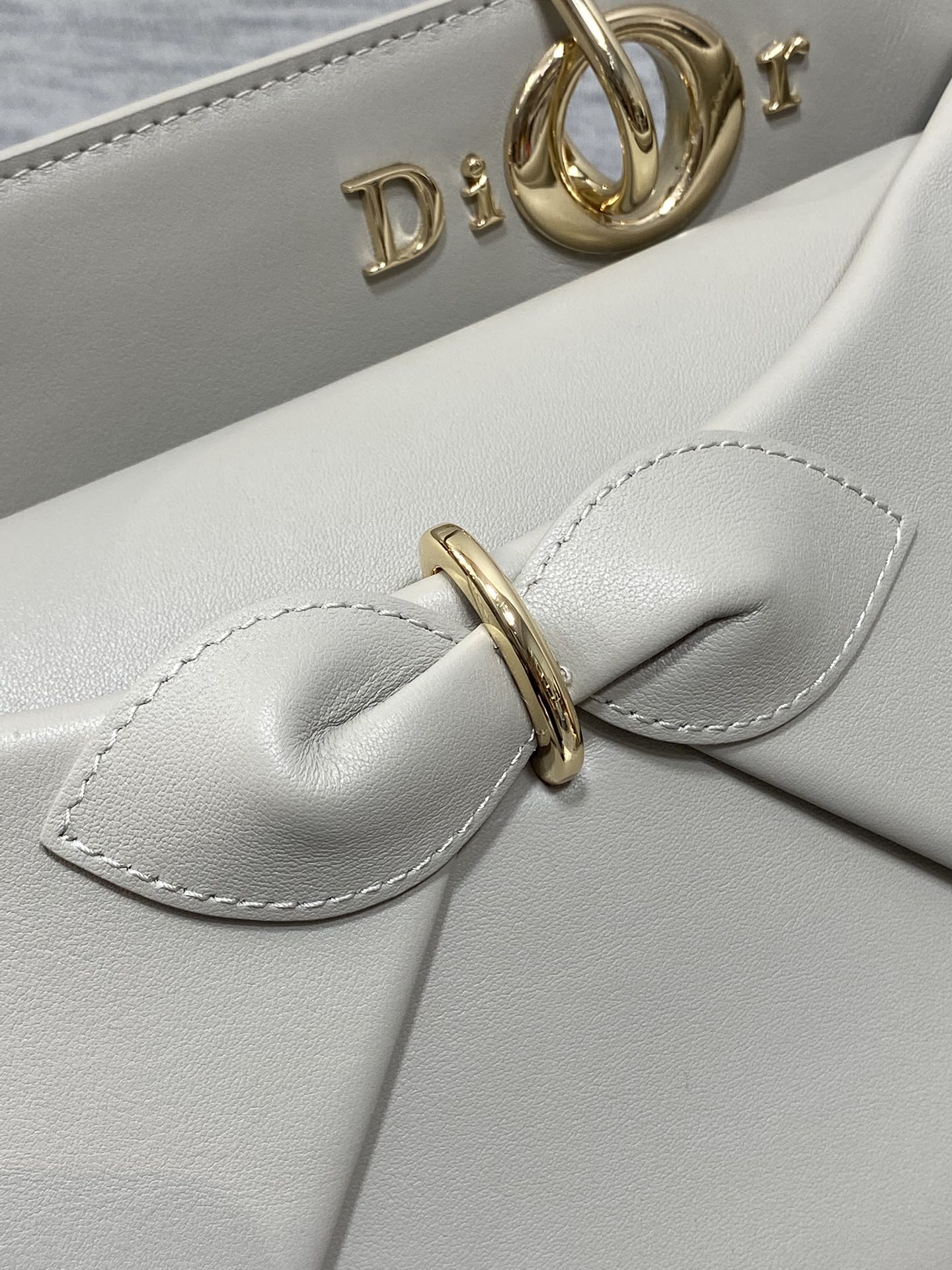 Dior Lady D-Sire Bag