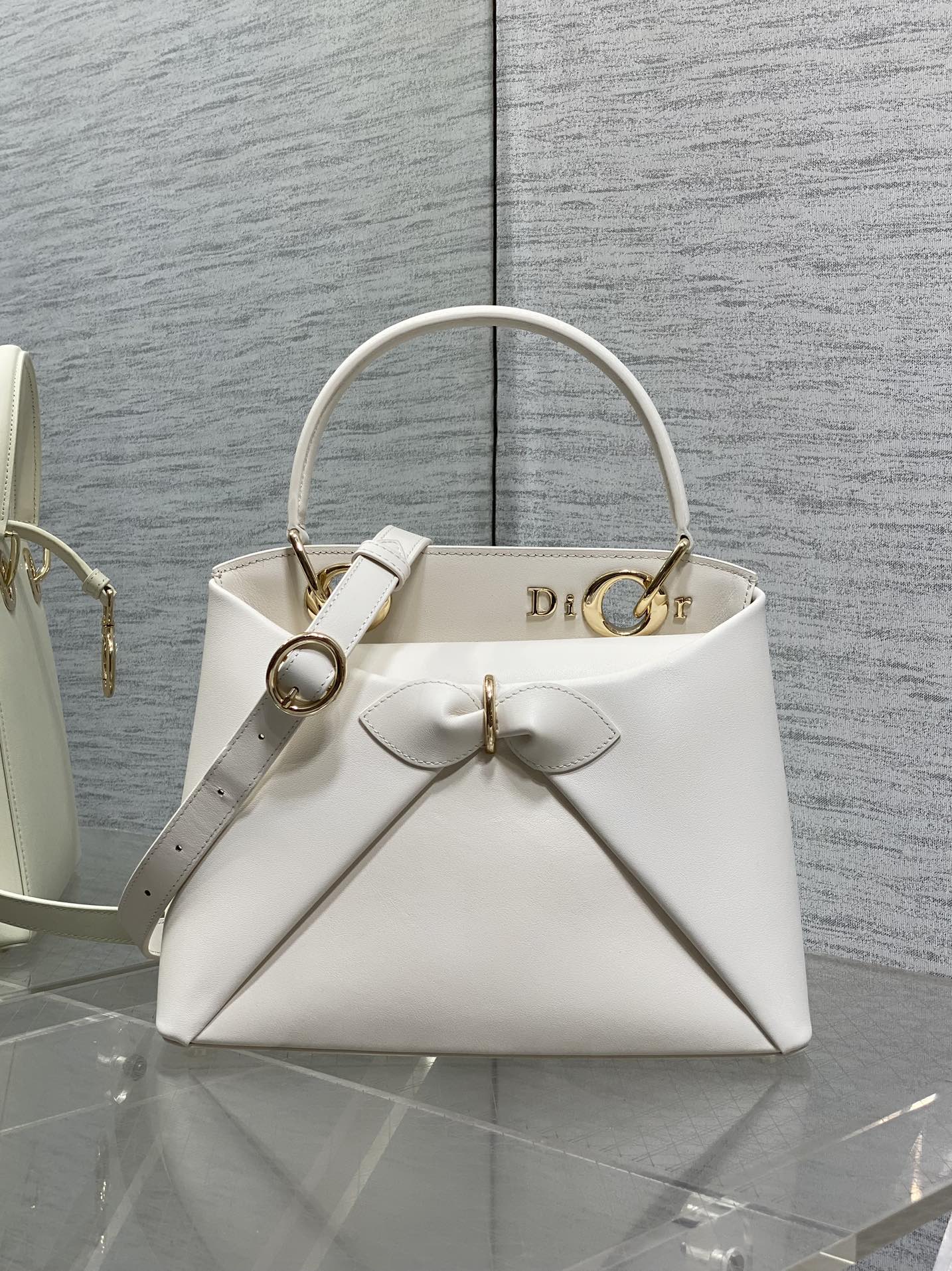 Dior Lady D-Sire Bag