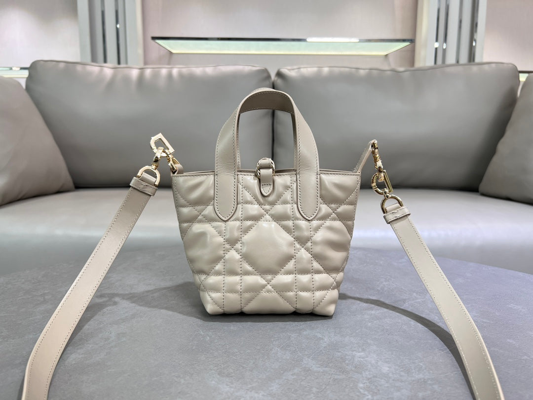 Dior Toujours Vertical Nano Tote Bag