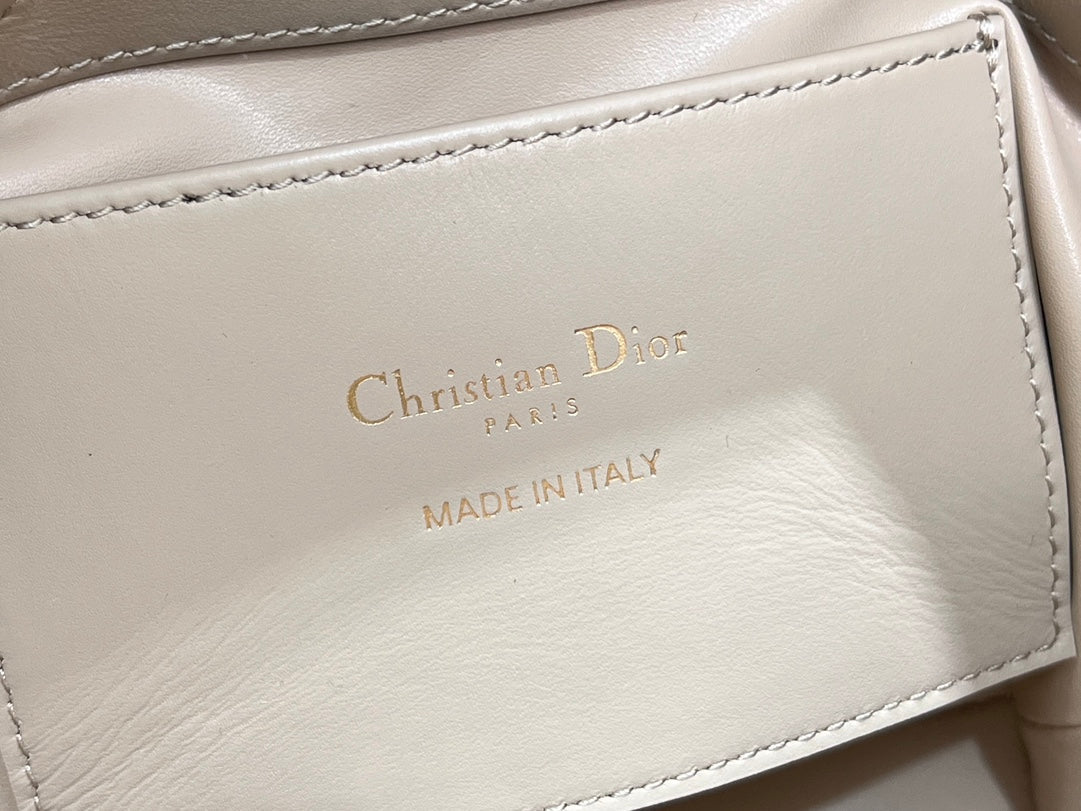 Dior Toujours Vertical Nano Tote Bag