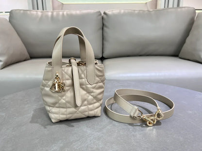 Dior Toujours Vertical Nano Tote Bag
