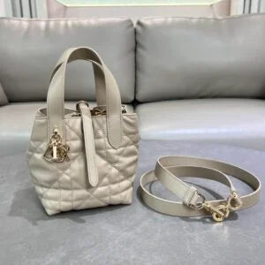 Dior Toujours Vertical Nano Tote Bag