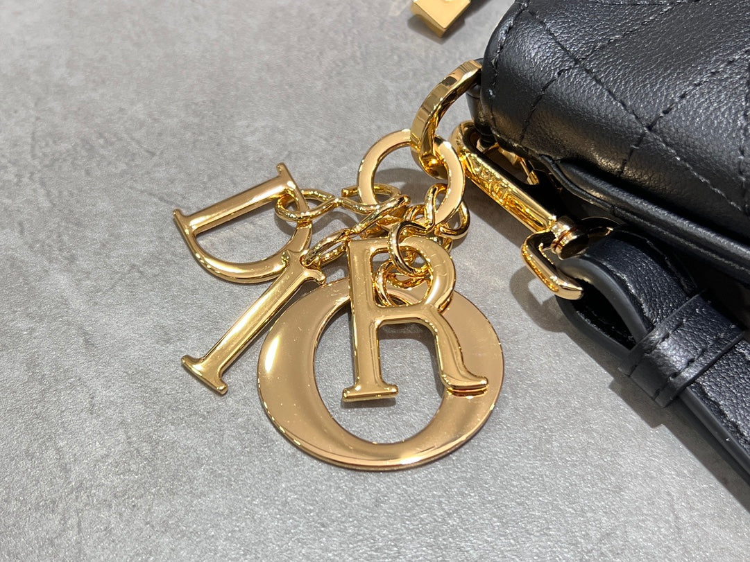 Dior Walk in Dior Bag