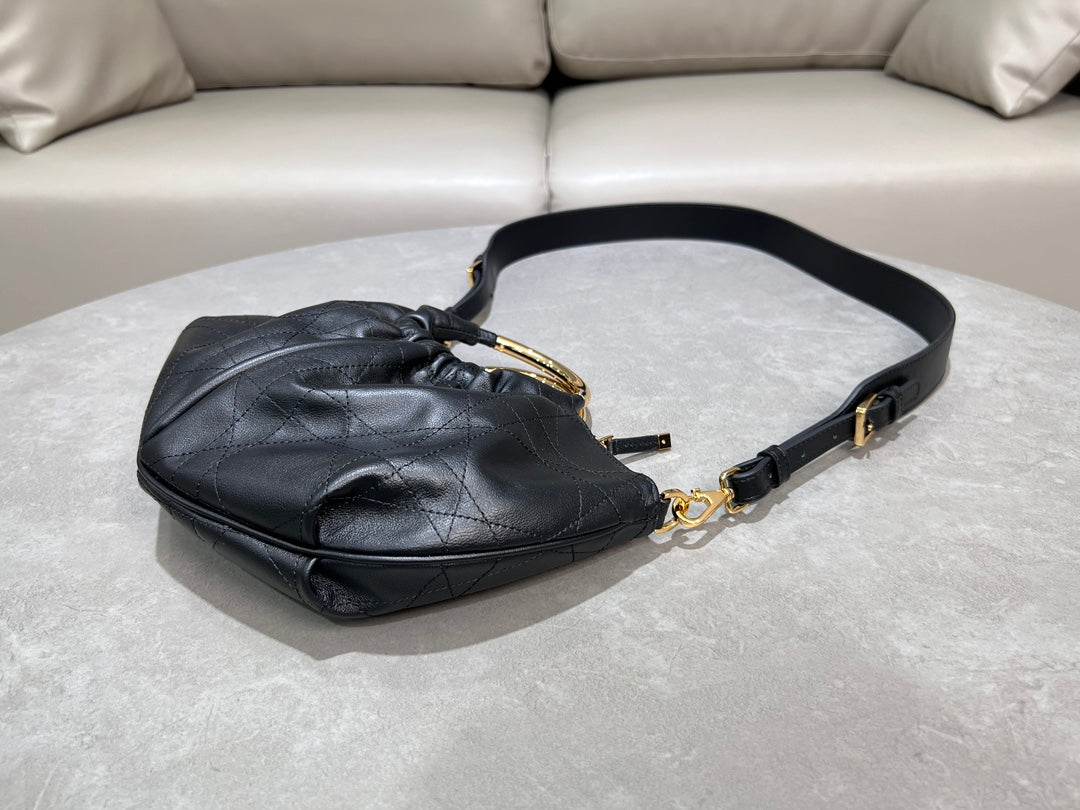 Dior Walk in Dior Bag