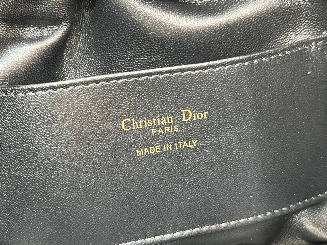 Dior Walk in Dior Bag