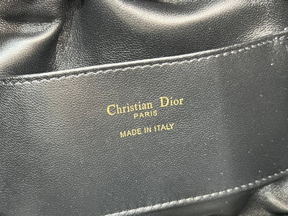 Dior Walk in Dior Bag