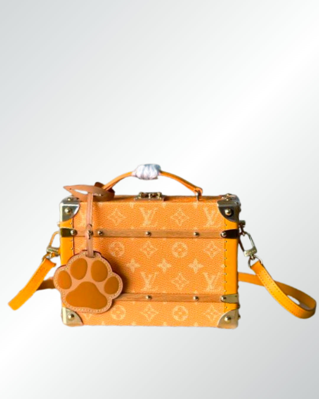 Louis Vuitton Handle Trunk