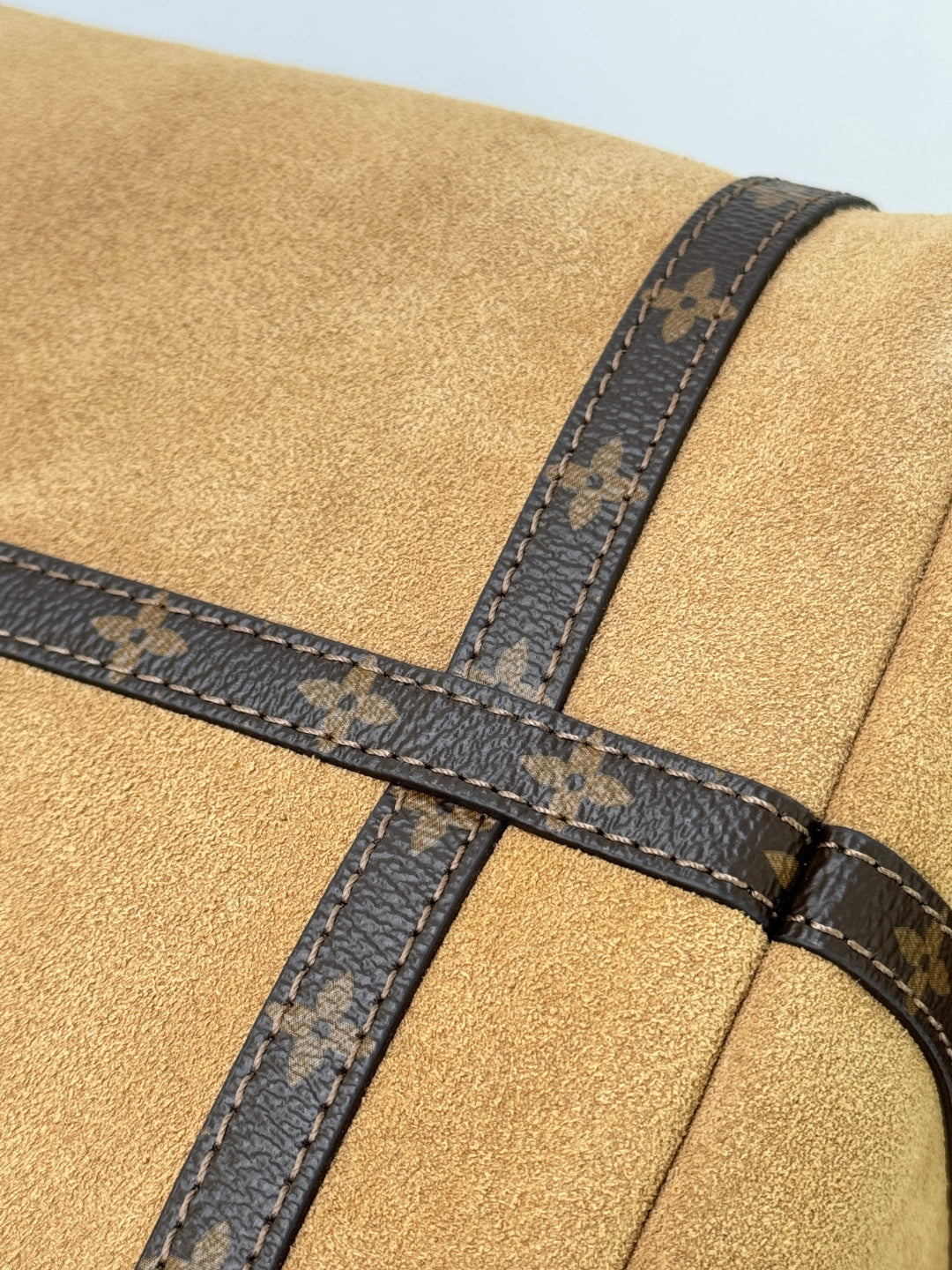 LOUIS VUITTON Express MM – Suede Edition