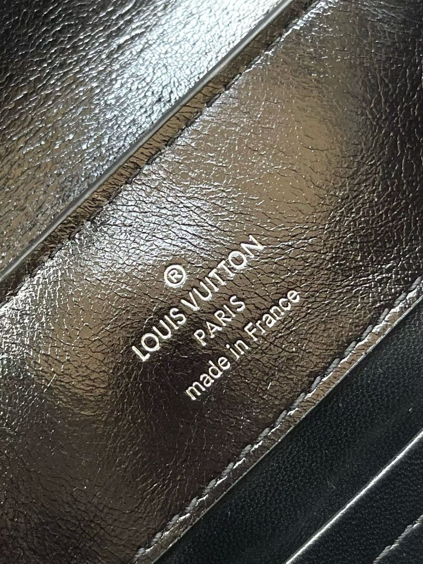 LOUIS VUITTON Capucines East-West – Cowhide Leather
