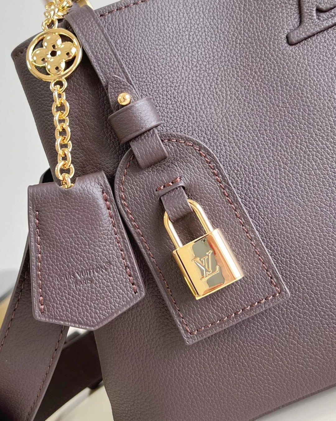 Louis Vuitton Capucines MM Souple Bag
