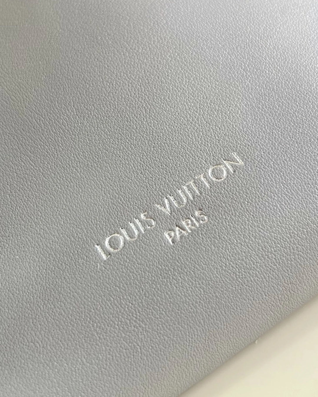 Louis Vuitton CarryAll Cargo Vibe PM