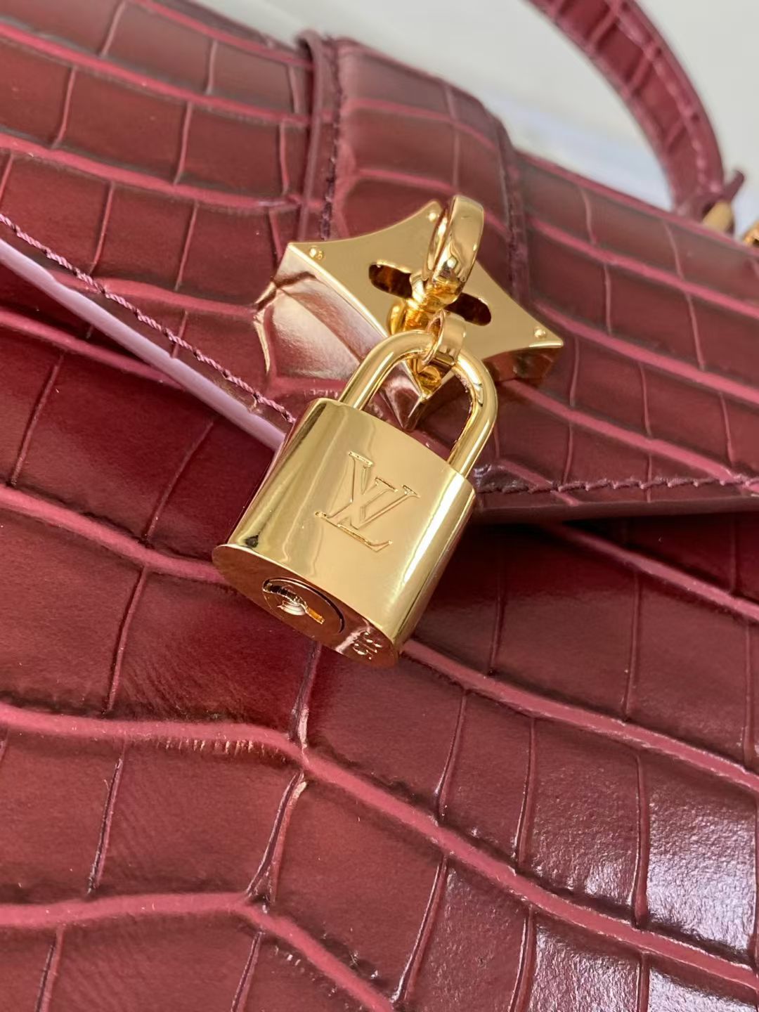 Louis Vuitton Rose des Vents Handbag