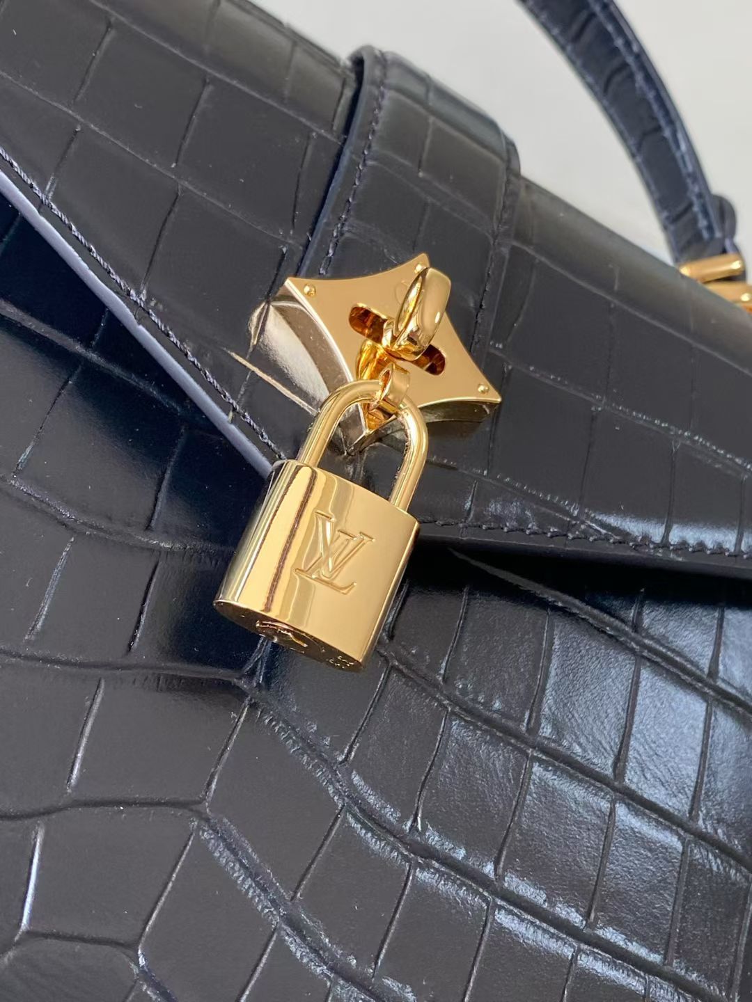 Louis Vuitton Rose des Vents Handbag