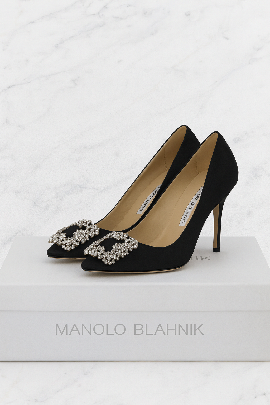 Manolo Blahnik Hangisi 90 Pumps