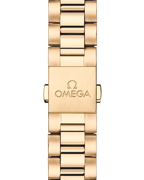 Omega Seamaster Aqua Terra 5