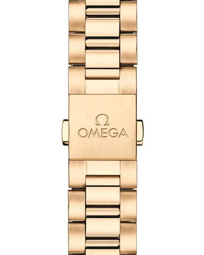 Omega Seamaster Aqua Terra 5