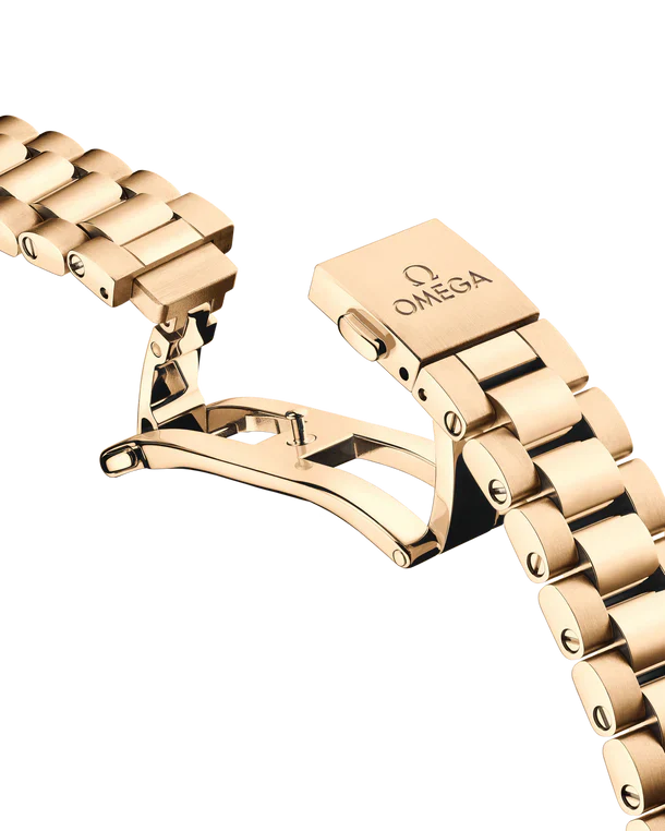 Omega Seamaster Aqua Terra 6