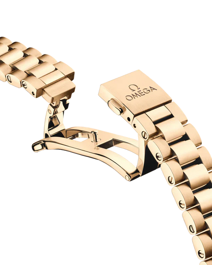 Omega Seamaster Aqua Terra 6