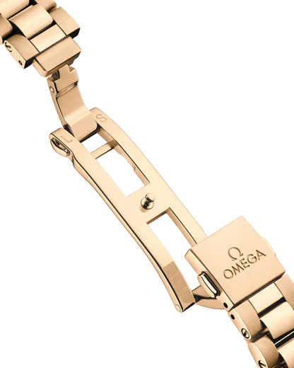 Omega Seamaster Aqua Terra 7