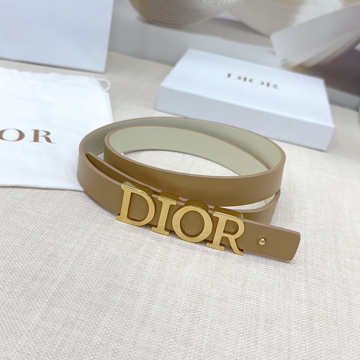 Signature DIOR logo Buckle