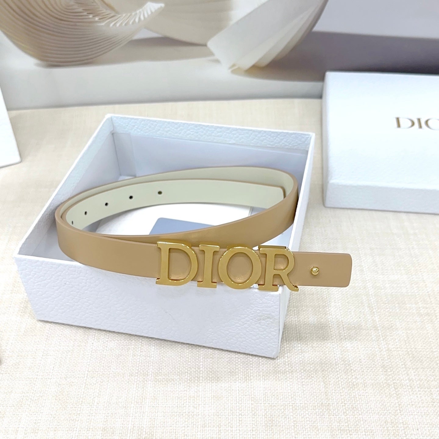 Signature DIOR logo Buckle