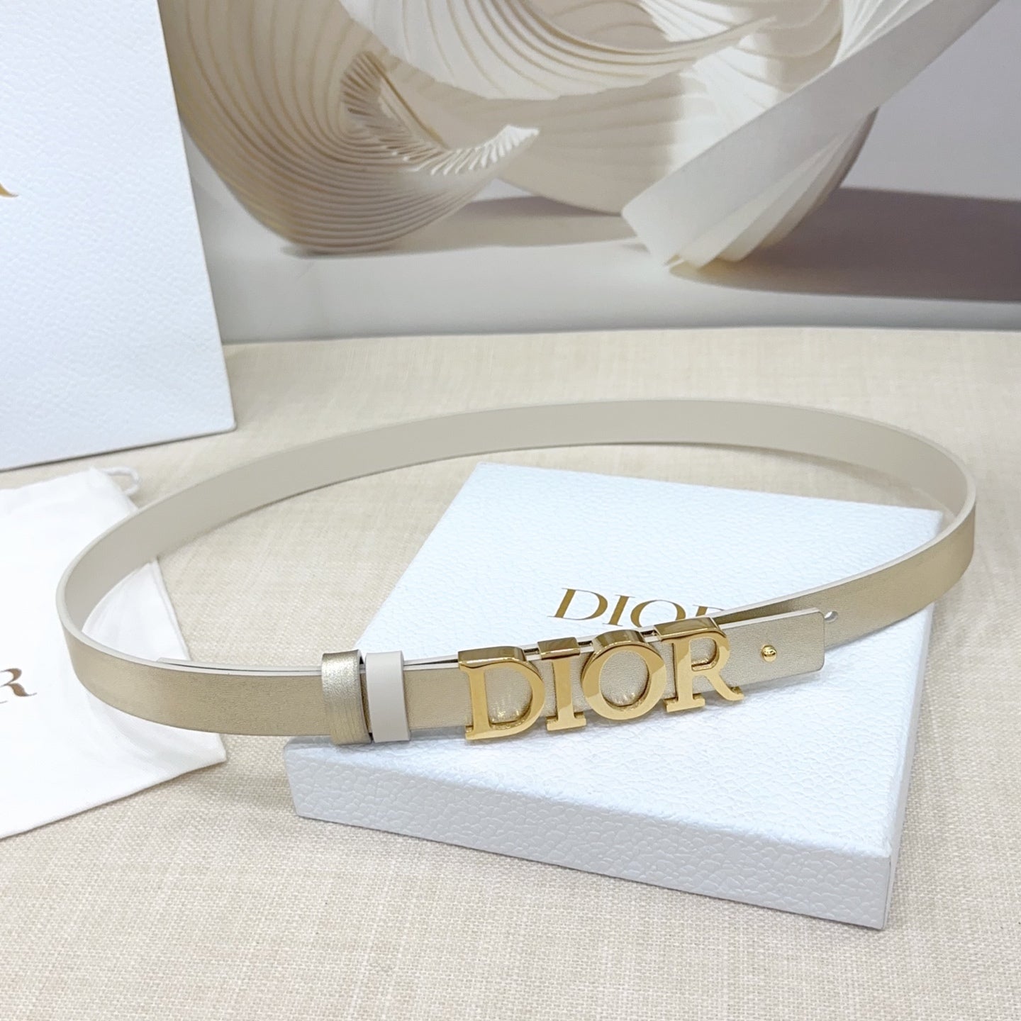 Signature DIOR logo Buckle