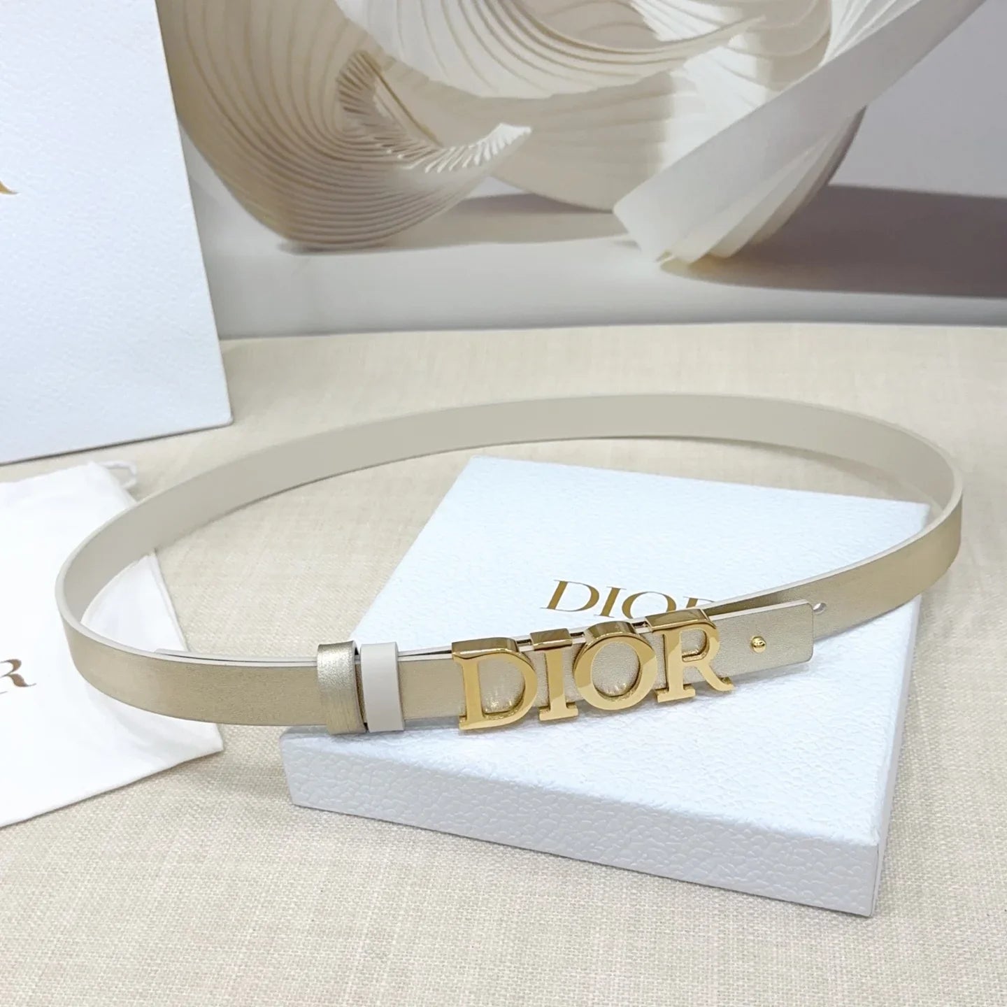 Signature DIOR logo Buckle